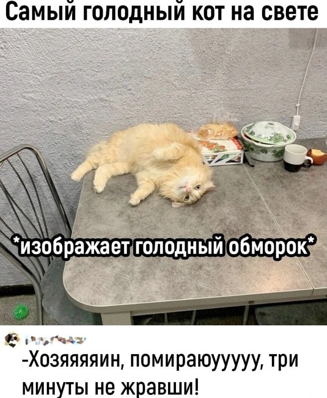 Солянка от 23.01.2026