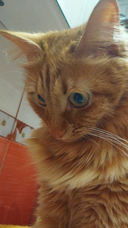 Солянка от 22.01.2026