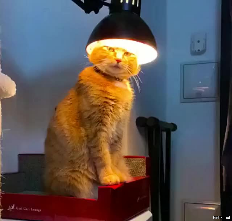 Почему Сережу не берут на рыбалку