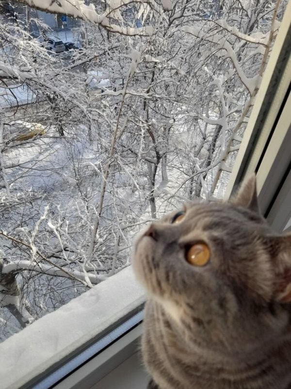 Солянка от 24.01.2026