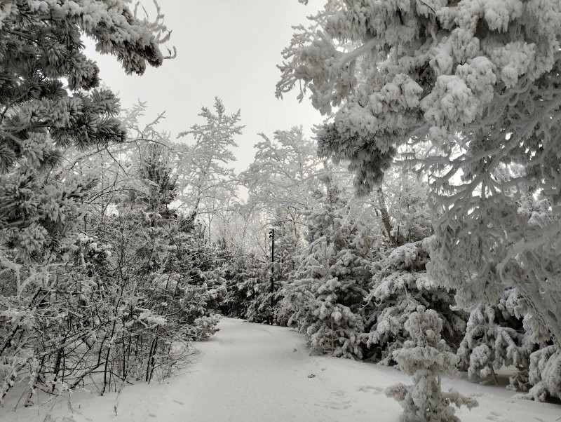 Пышет паром Хуанхэ,