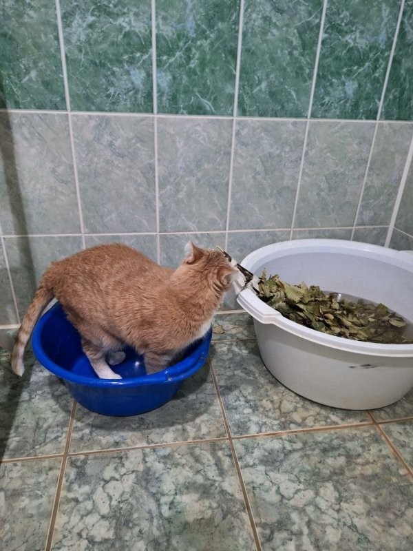 Водными займитесь 
проце
дурами!