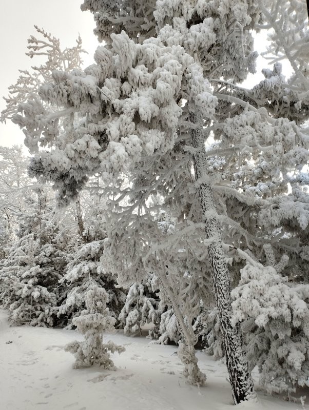 Пышет паром Хуанхэ,