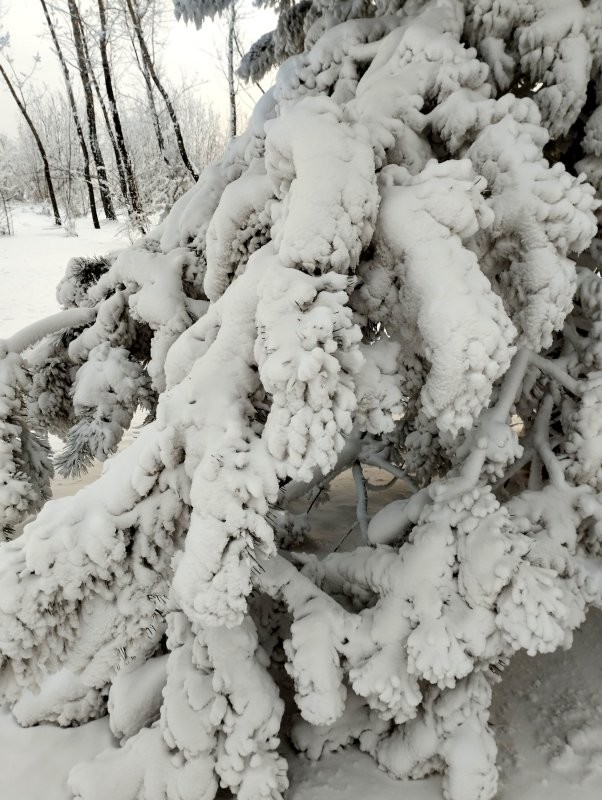 Пышет паром Хуанхэ,