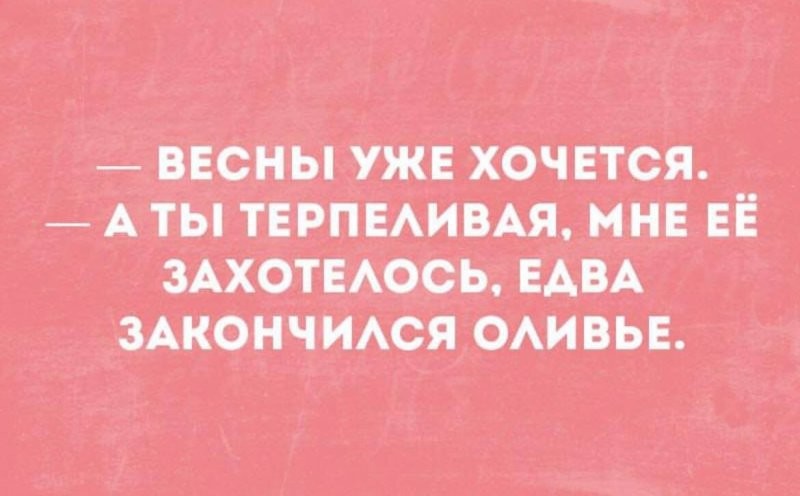 Солянка от 26.01.2026