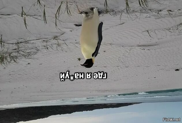 Солянка от 26.01.2026