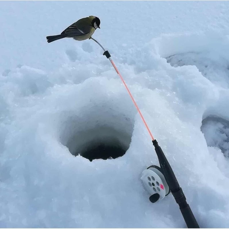 Солянка от 28.01.2026