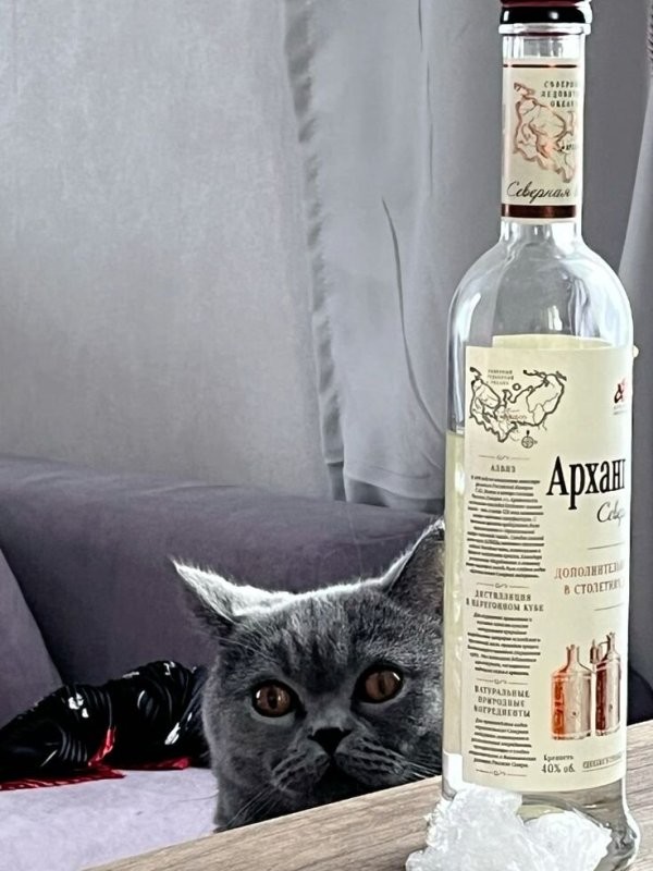 Солянка от 31.01.2026