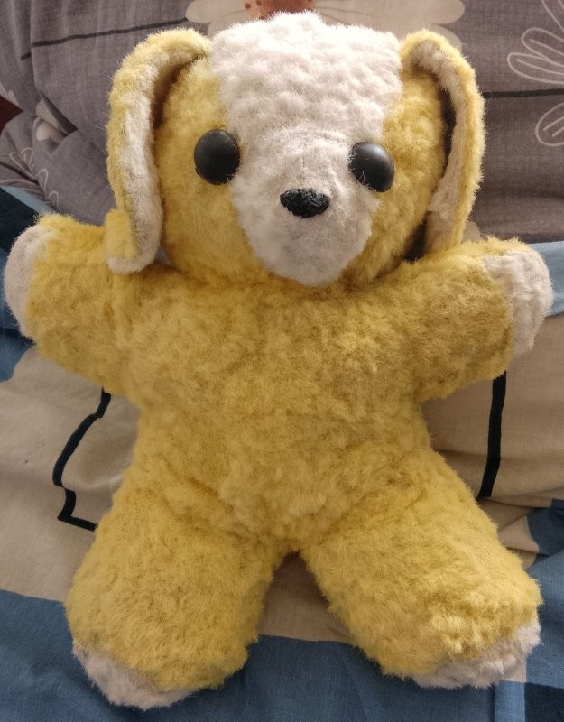 На пятидесятипятилетие сделал себе подарок: нашёл на Мешке собачку, такую же, какая была в детстве. Лет в двенадцать с лёгким сердцем позволил отдать в деревню: "Ты же взрослый мальчик..."
А тут вдруг необъяснимо затосковал. Собачка была с гнилой набивкой и носик повреждён. Погуглил как реставрировать и "починил". Вот. Та была Любимка, эта стала Любаша.
Левый глаз сдвинул, у старой так был посажен.