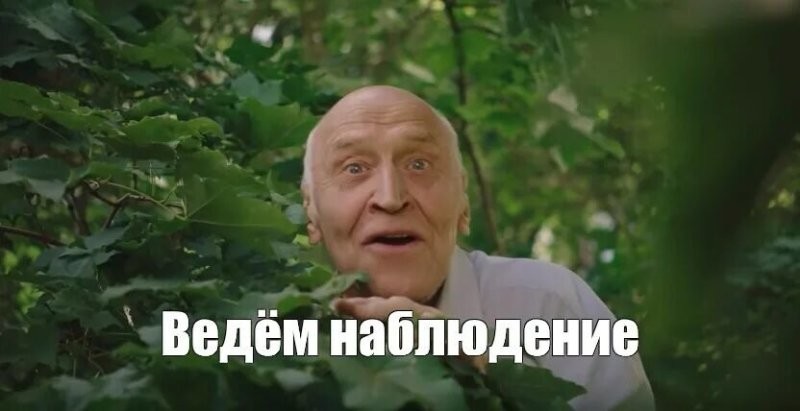 На днях наблюдала, как белка в парке тащила подгнивший банан