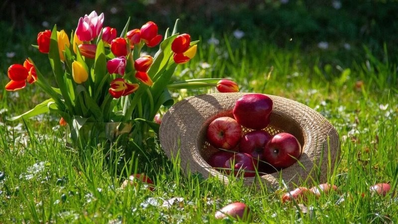 Шляпа, а не профессор