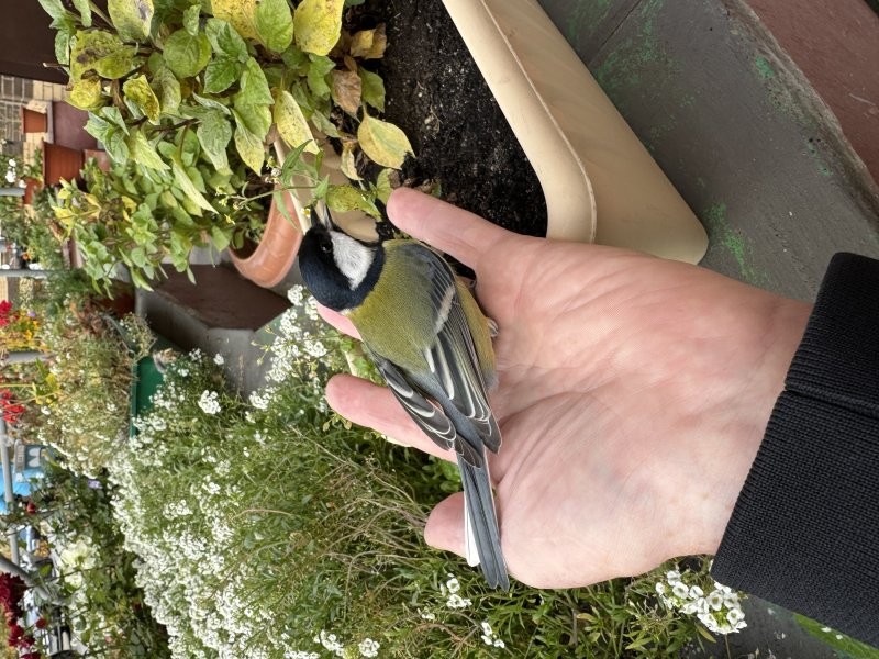 Осенью было