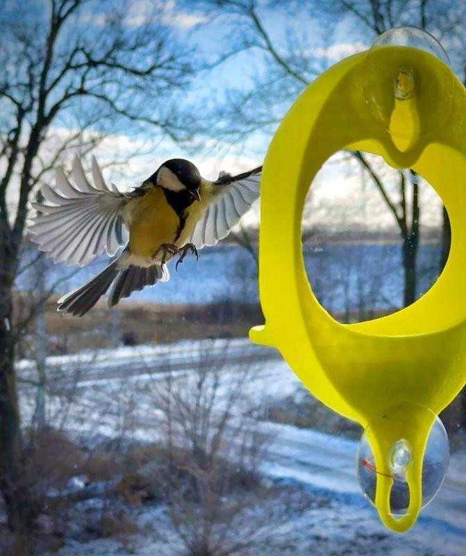 Солянка от 05.02.2026