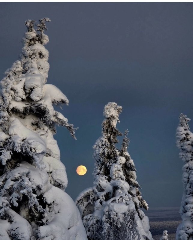 Солянка от 06.02.2026