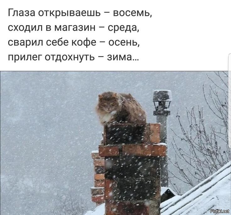 Солянка от 07.02.2026