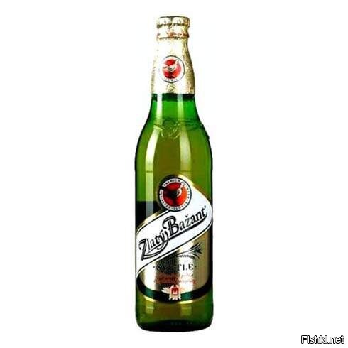 Солянка от 07.02.2026