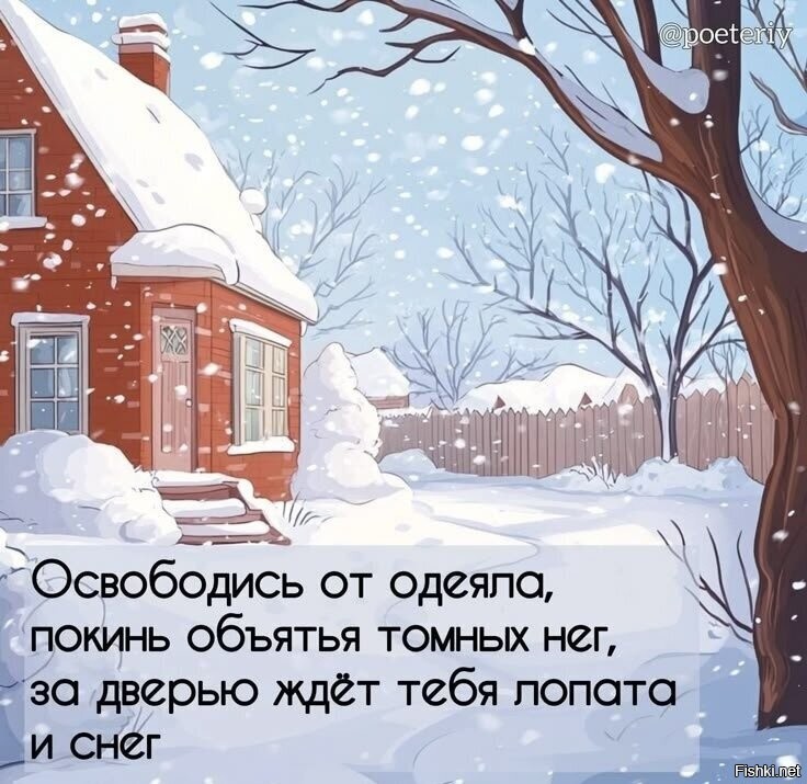 Солянка от 08.02.2026