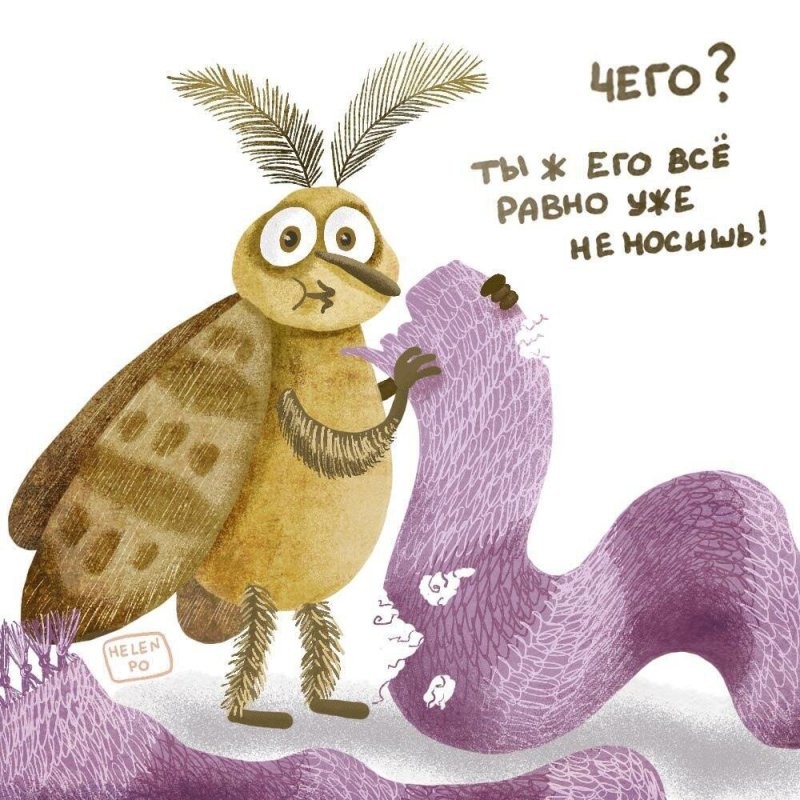 Солянка от 08.02.2026