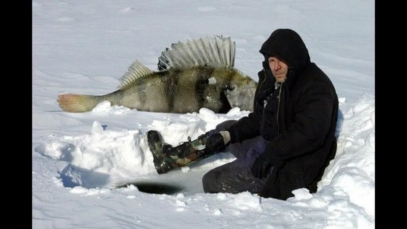Солянка от 08.02.2026