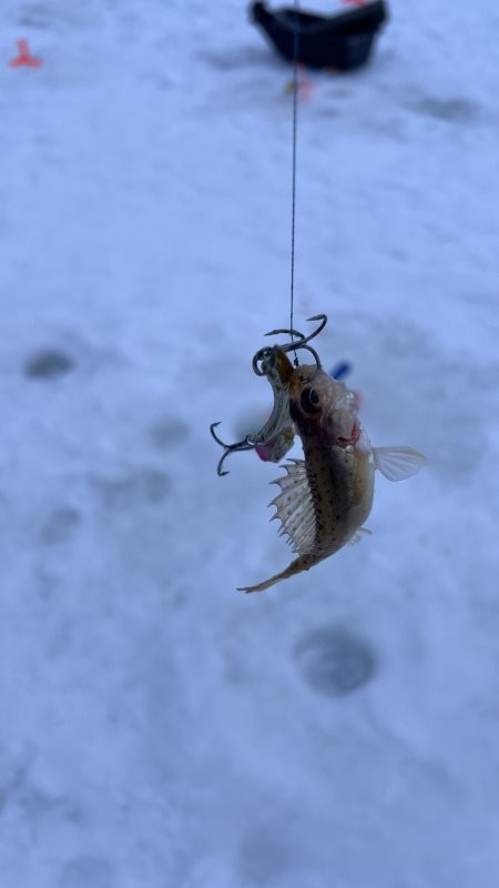 Солянка от 08.02.2026