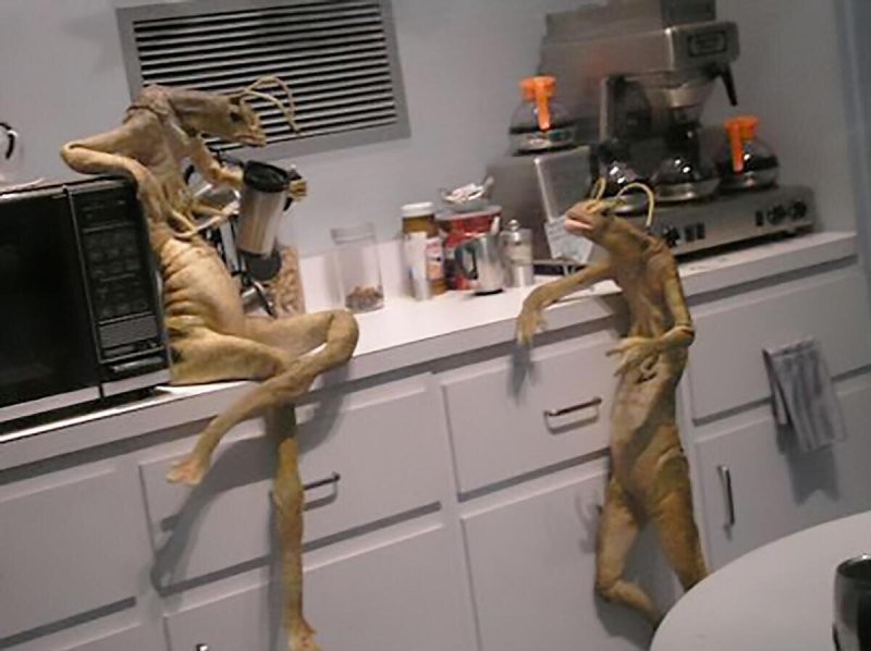 Солянка от 08.02.2026