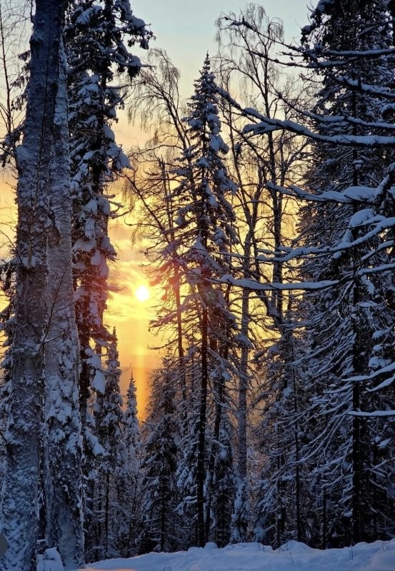 Солянка от 10.02.2026