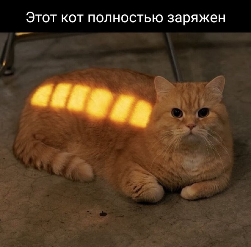 Солянка от 10.02.2026