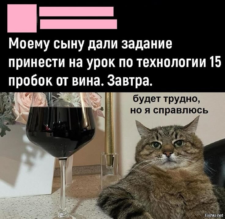 Солянка от 11.02.2026