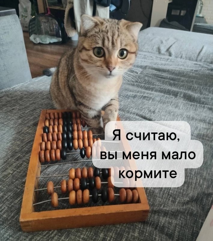 Солянка от 11.02.2026