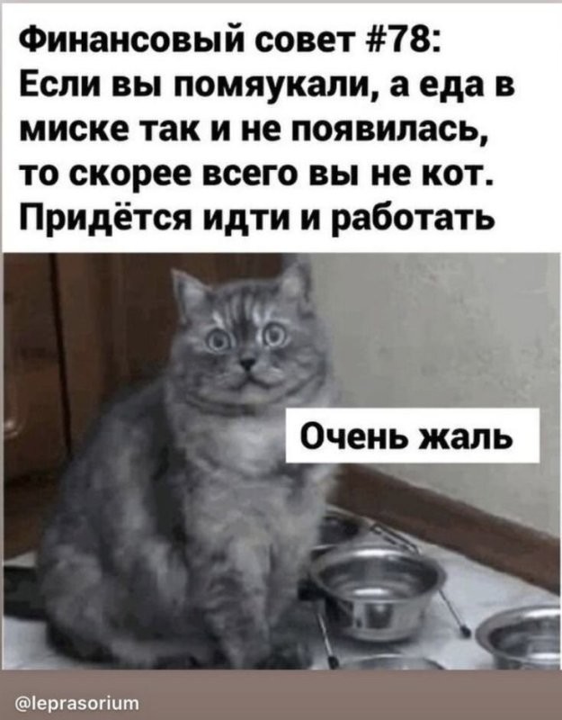 Доброе утро