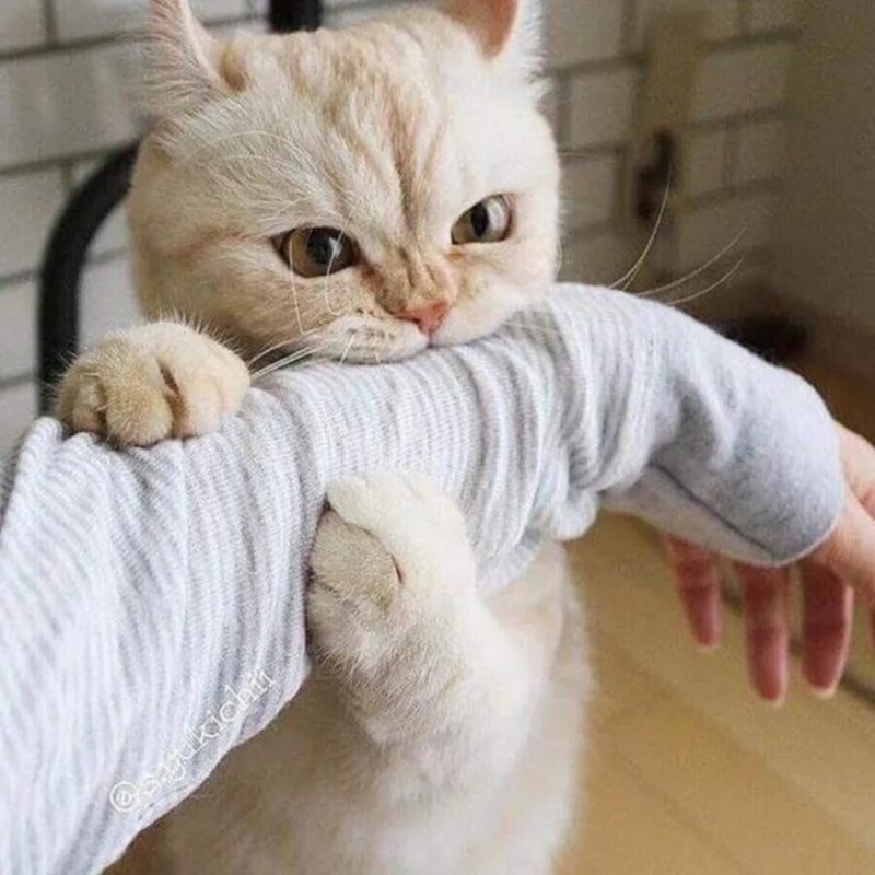 Der kuss. Это другое