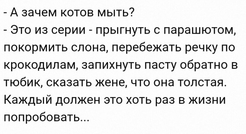 Солянка от 13.02.2026