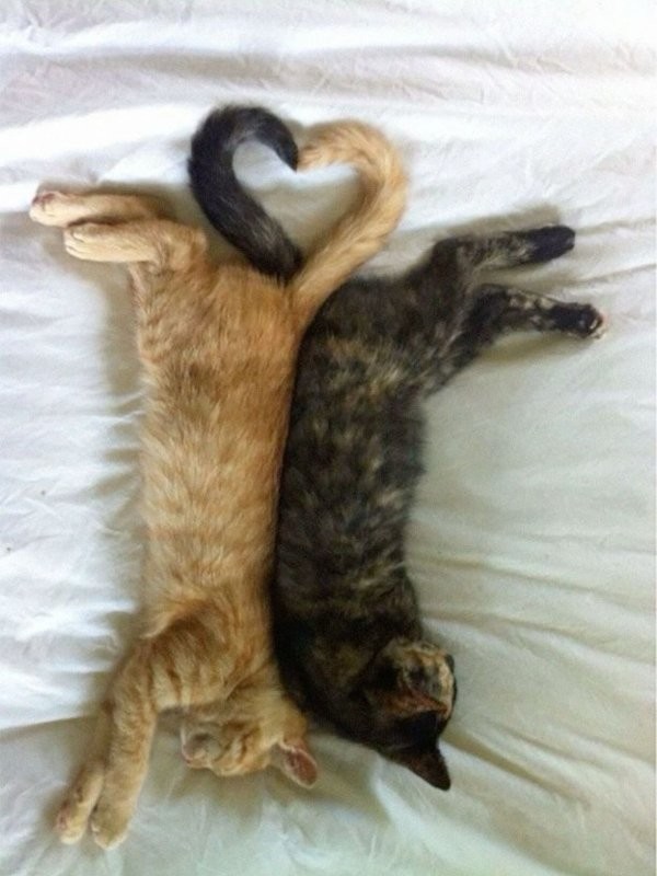 Доброе утро