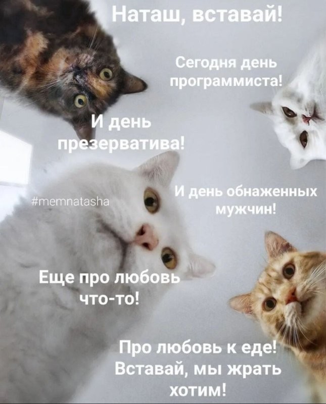 Доброе утро