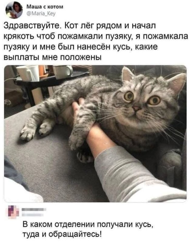Солянка от 15.02.2026