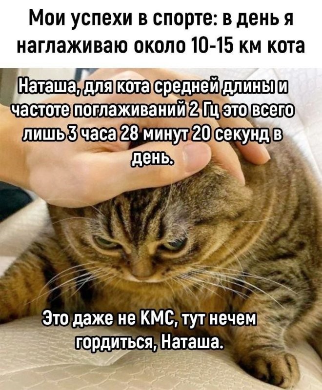 Солянка от 16.02.2026