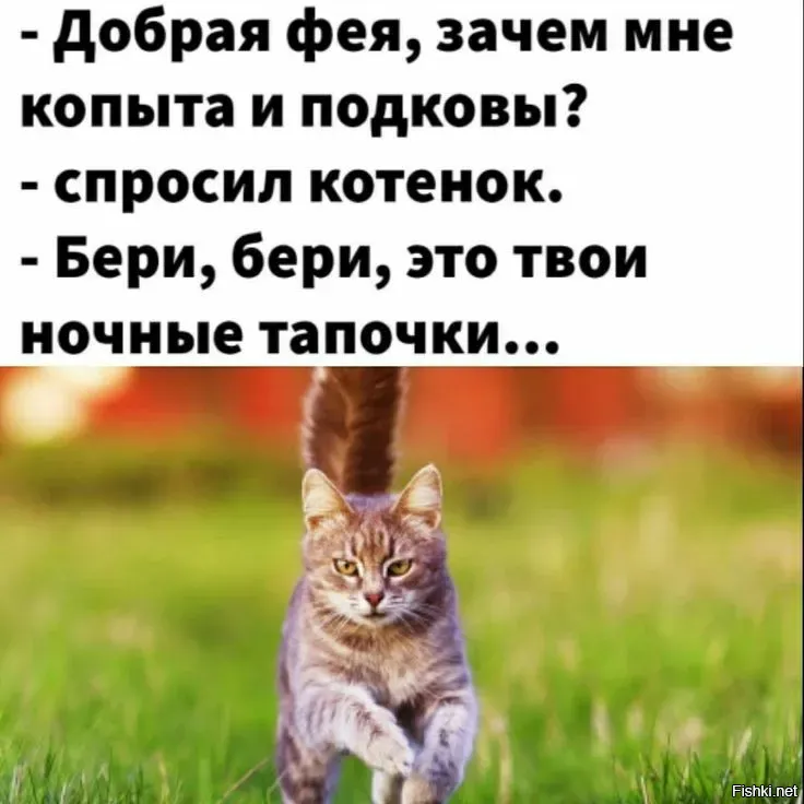 Солянка от 18.02.2026