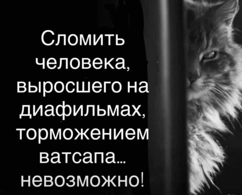 Солянка от 17.02.2026