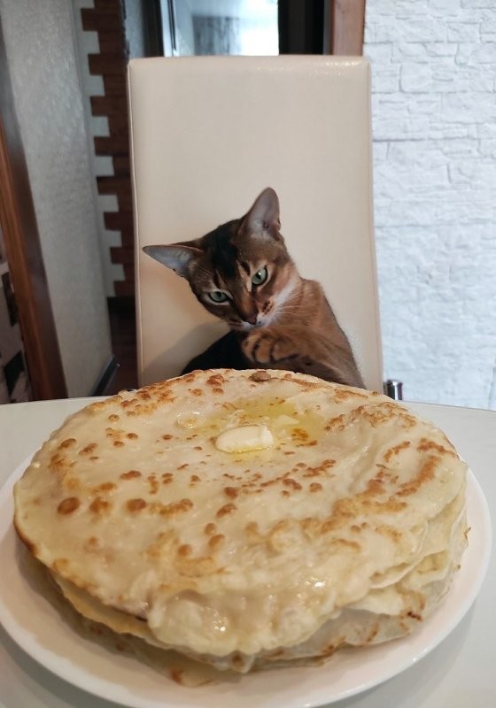 Солянка от 18.02.2026