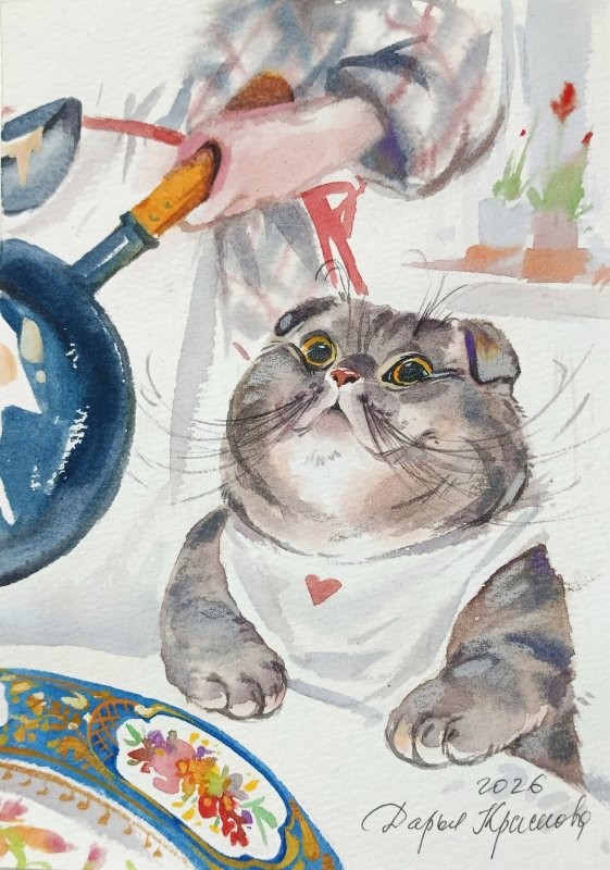 Солянка от 21.02.2026