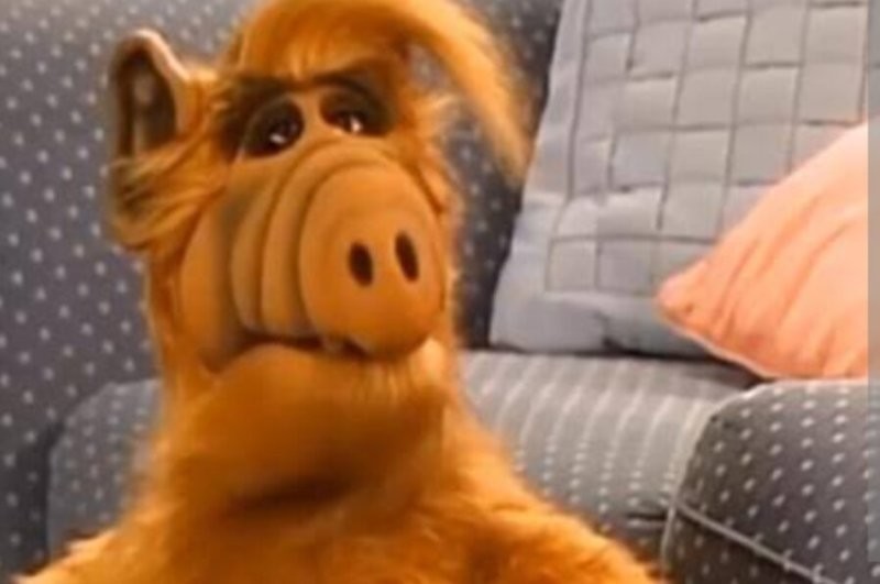 Согласен, кот упитанный