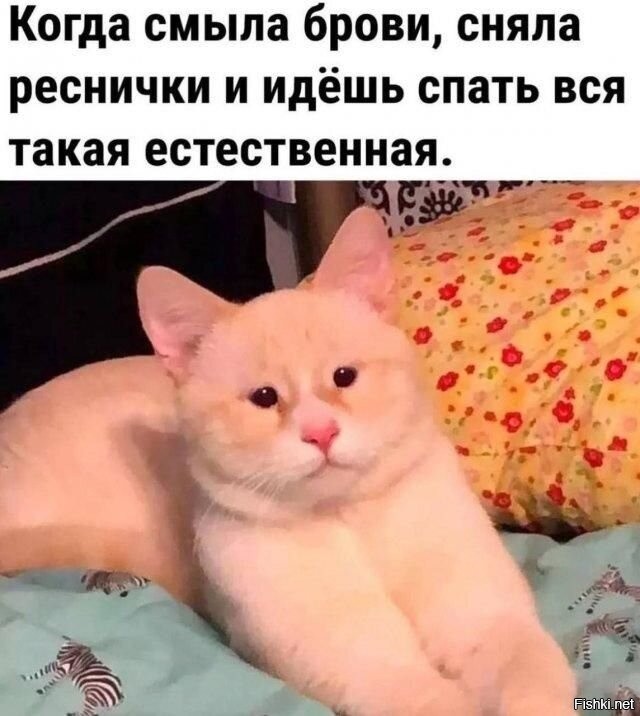 Солянка от 24.02.2026