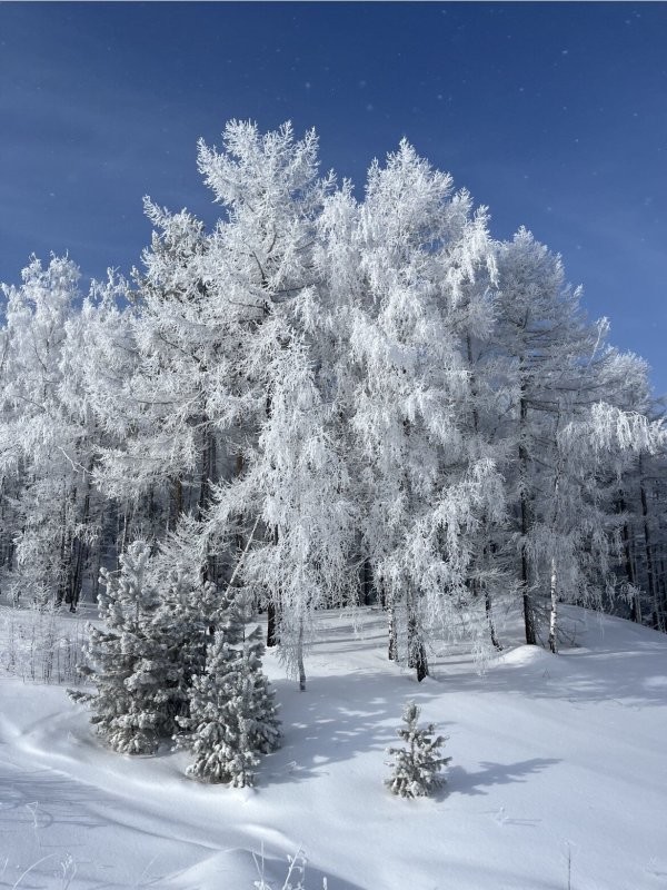 Доброго утра