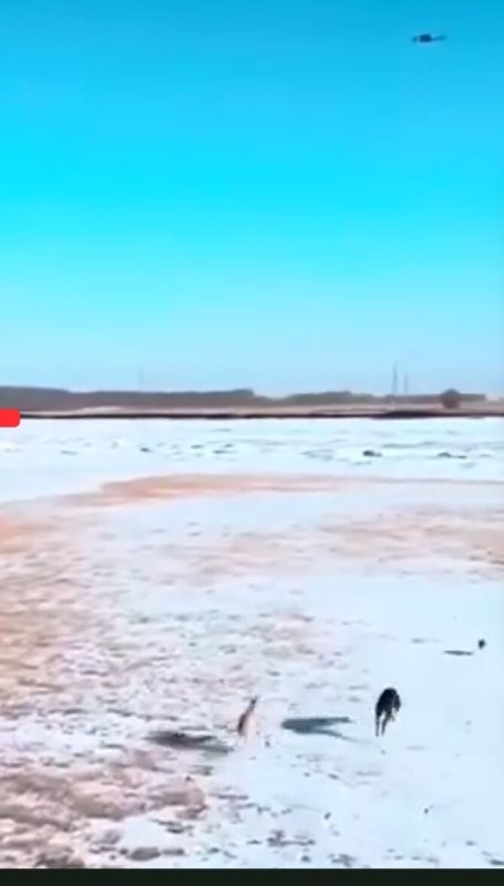 А это что за облава такая? На 1:50 там толи вертушка то ли еще один коптер