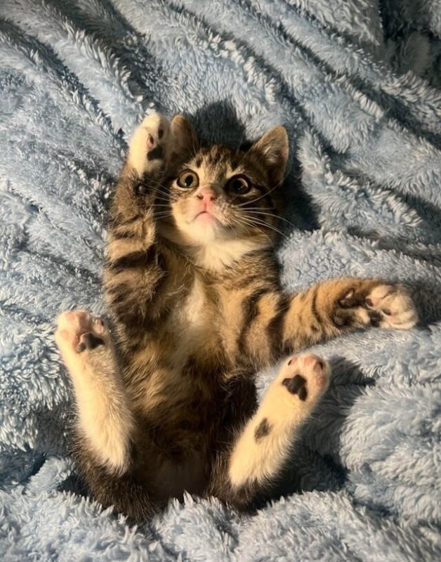 Доброе утро