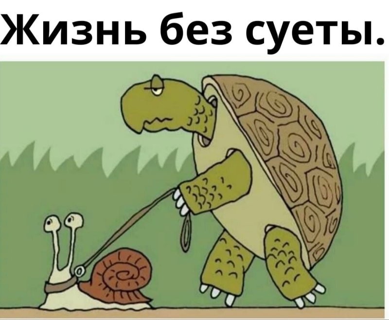 Солянка от 26.02.2026