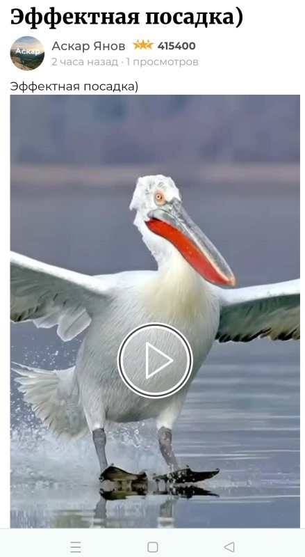 С казахом в засаде сидели?