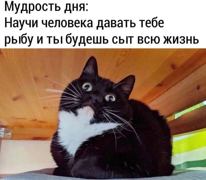 Солянка от 27.02.2026