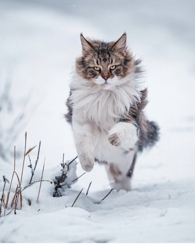 Солянка от 27.02.2026