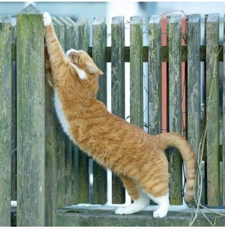 Доброе утро